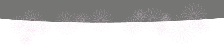 layout graphic